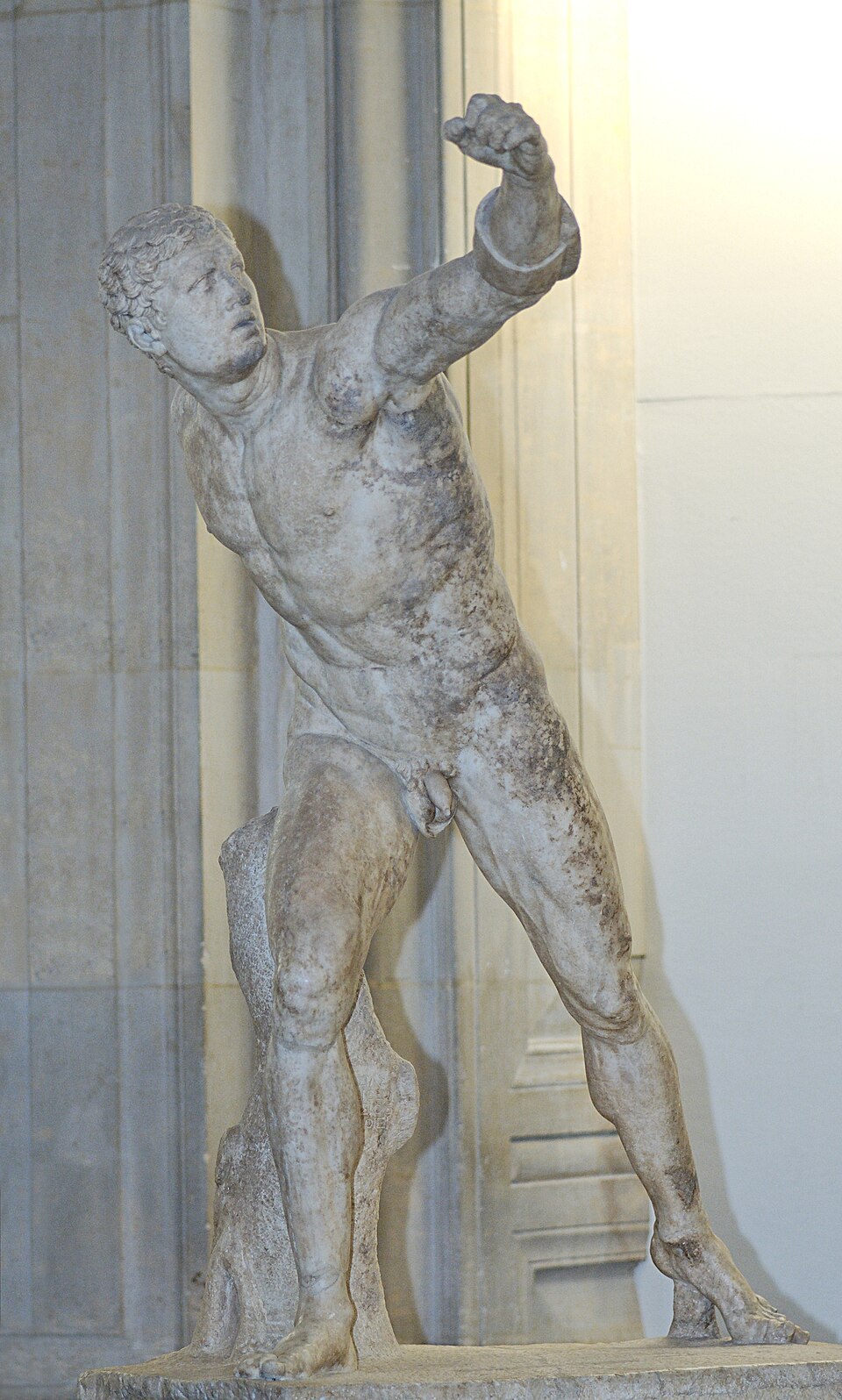 Gladiateur Borghèse, sculpture de Agasias d’Éphèse : Un athlète nu en mouvement se défend avec un bouclier disparu, le corps tendu dans une…