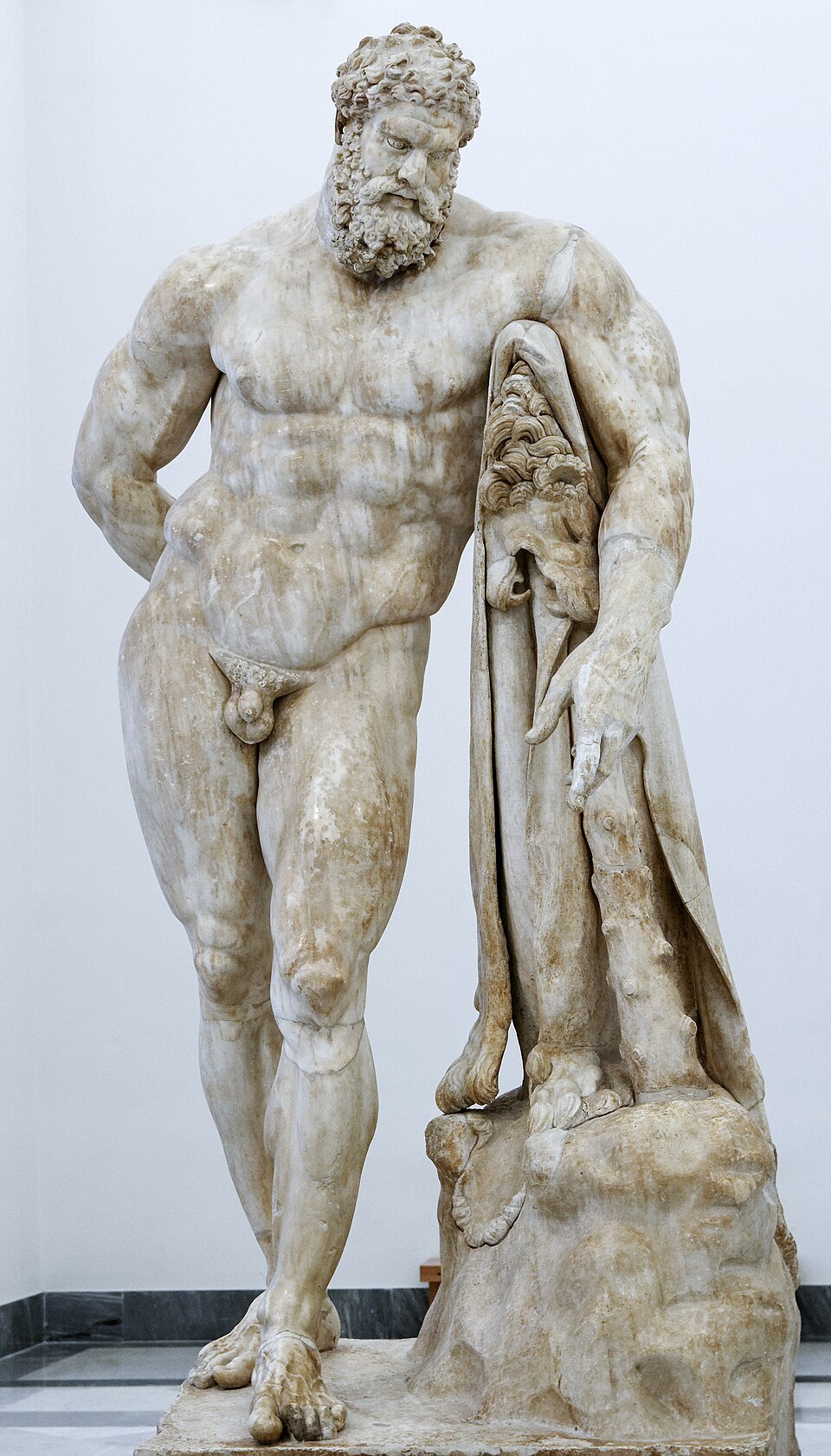 L’Hercule Farnèse, sculpture de Glycon d’Athènes : Hercule colossal s’appuie sur sa massue, la peau du lion de Némée drapée sur son bras